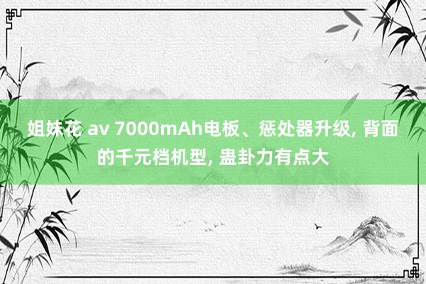 姐妹花 av 7000mAh电板、惩处器升级， 背面的千元档机型， 蛊卦力有点大