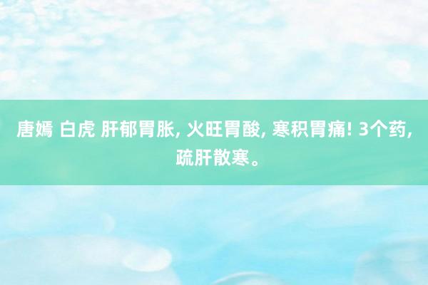 唐嫣 白虎 肝郁胃胀， 火旺胃酸， 寒积胃痛! 3个药， 疏肝散寒。