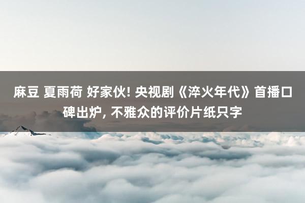 麻豆 夏雨荷 好家伙! 央视剧《淬火年代》首播口碑出炉， 不雅众的评价片纸只字
